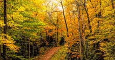 Wynstone at Lackner Ridge - 1700065768432 1 1