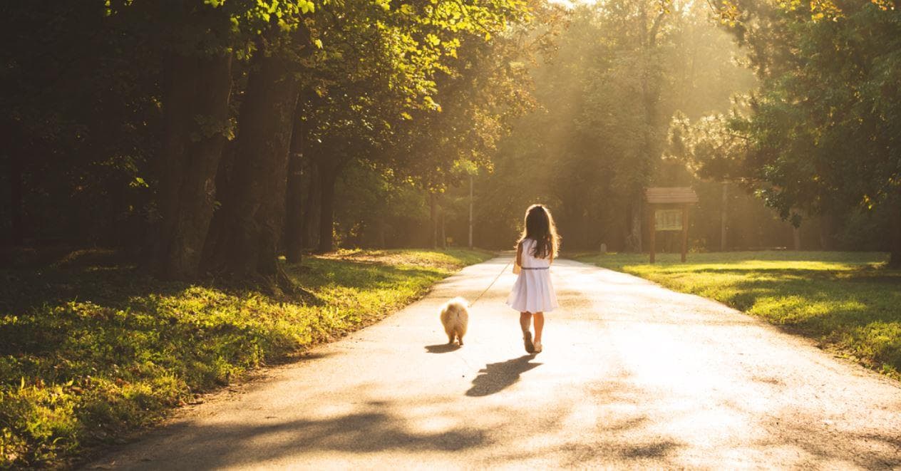 Jefferson Townhomes - Beech Ave & Jefferson Side Rd, Richmond Hill, ON L4E 0A8, Canada