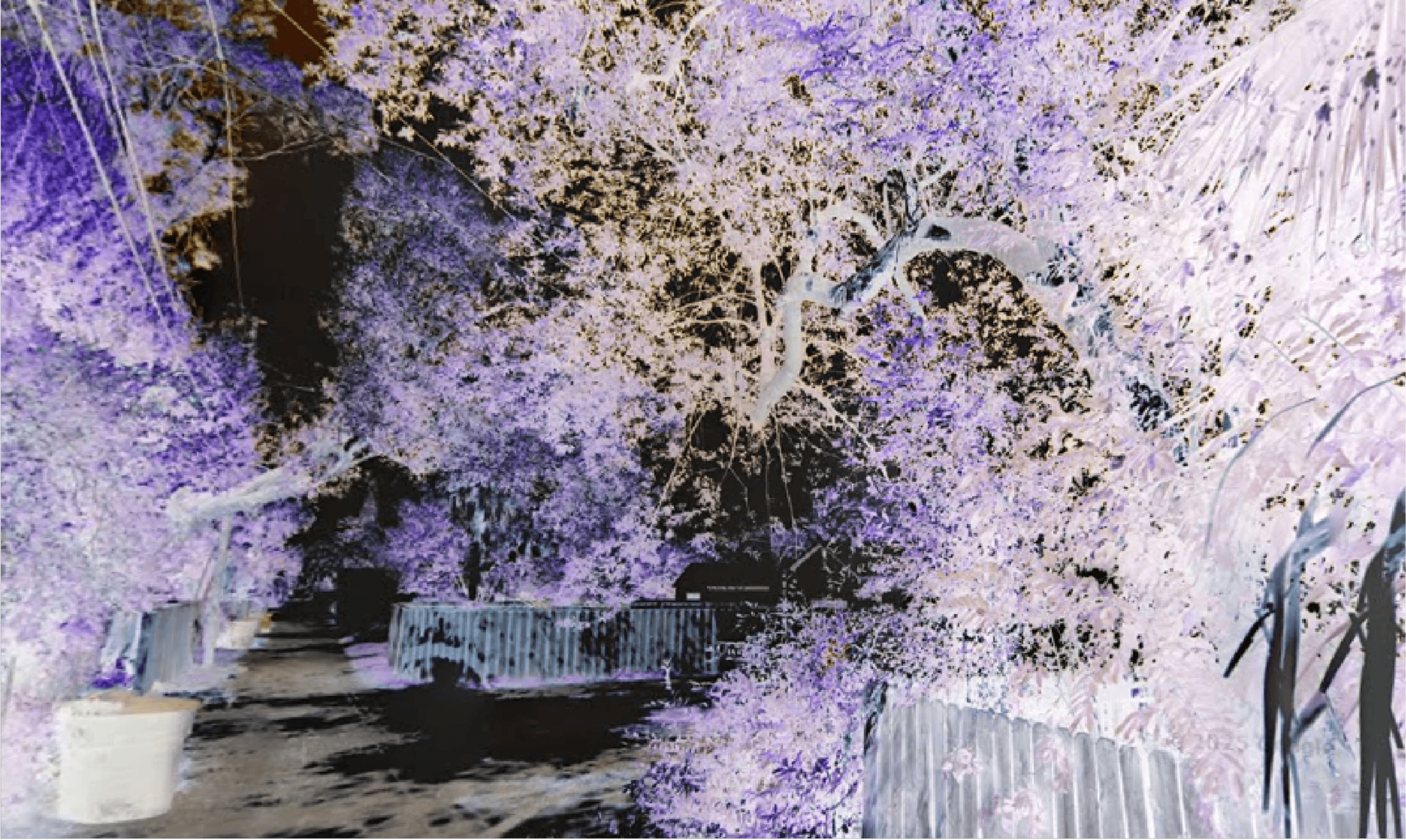 The Frederick Condos - Toronto, Ontario