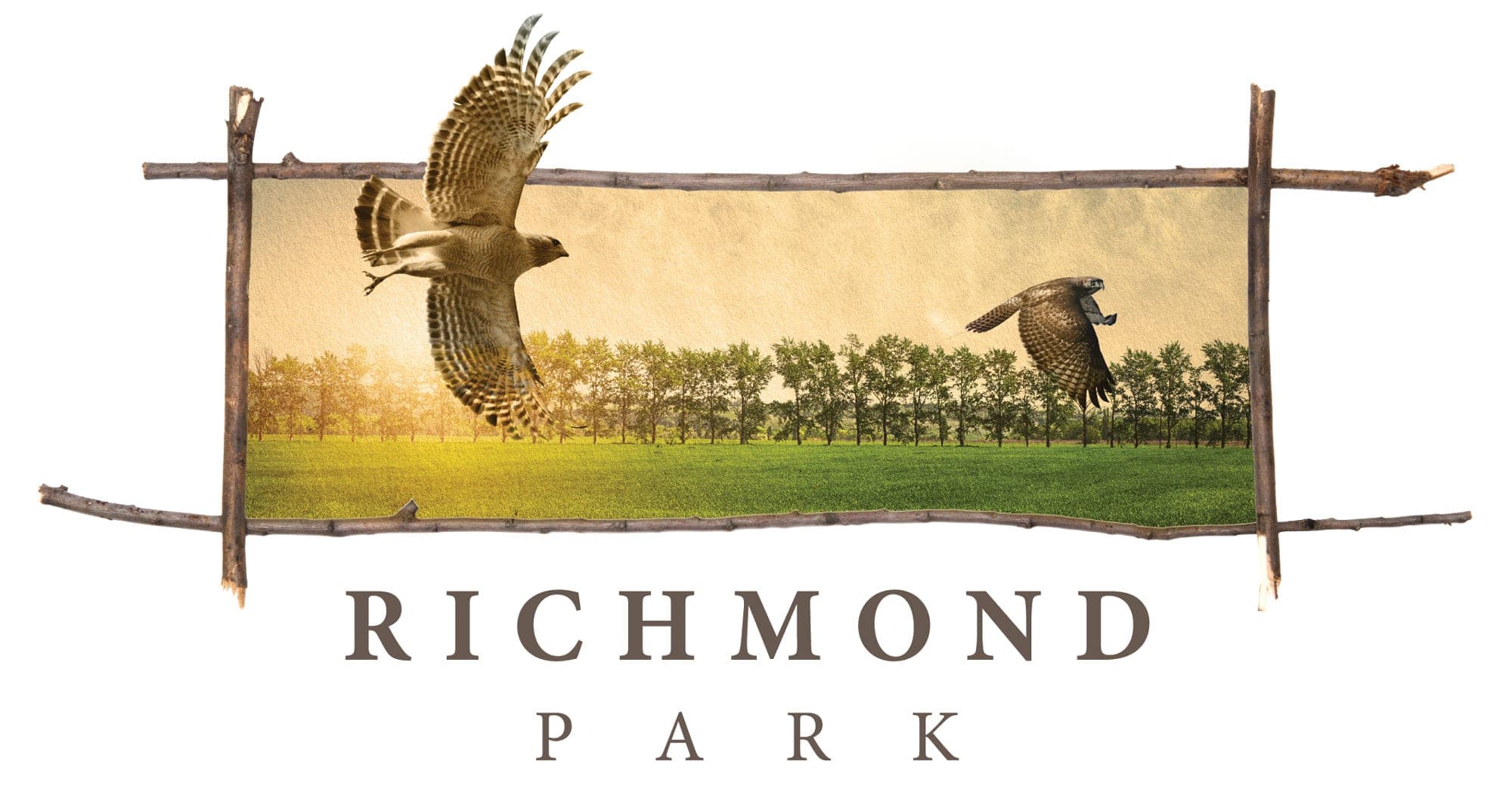 Richmond Park Townhouse Richmond Hill Ontario Canada preconstruction