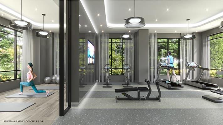 Marquis - 1700066703964 gym gallery Marquis - 1700066703964 gym gallery