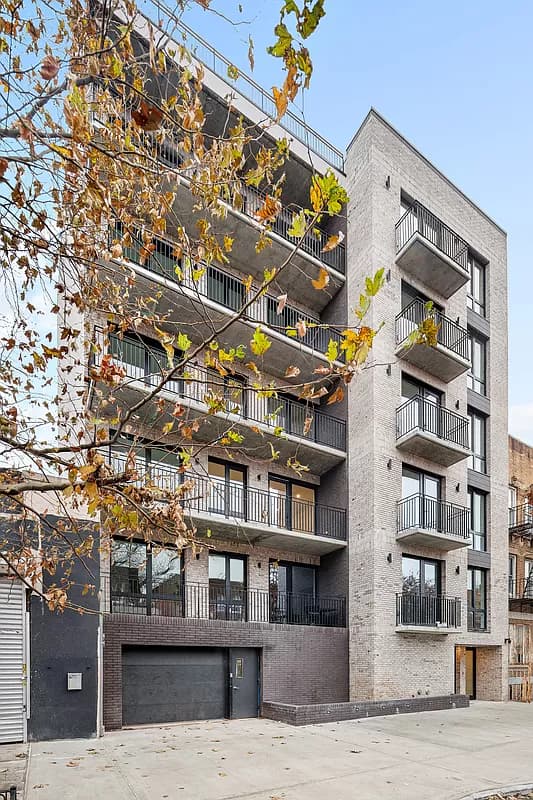 1173 Rogers Luxury Condominium - 1705492069009 c0e65e712ae3f2745ba96524378482f4 se extra large 1500 800 1173 Rogers Luxury Condominium - 1705492069009 c0e65e712ae3f2745ba96524378482f4 se extra large 1500 800