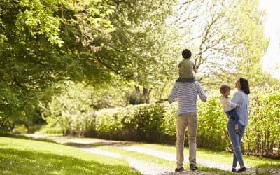 West Meadows Townhouse Prince Edward Ontario Canada preconstruction West Meadows Townhouse Prince Edward Ontario Canada preconstruction