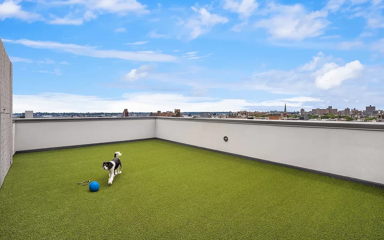 The Umbrella Factory Condo Brooklyn New York Usa preconstruction The Umbrella Factory Condo Brooklyn New York Usa preconstruction