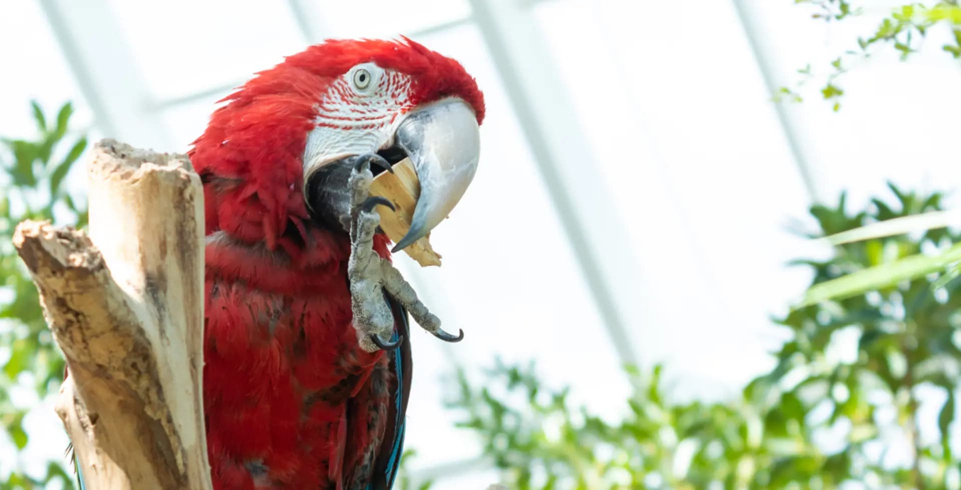 Starlight Estates Detached Corpus Christi Texas Usa preconstruction Starlight Estates Detached Corpus Christi Texas Usa preconstruction