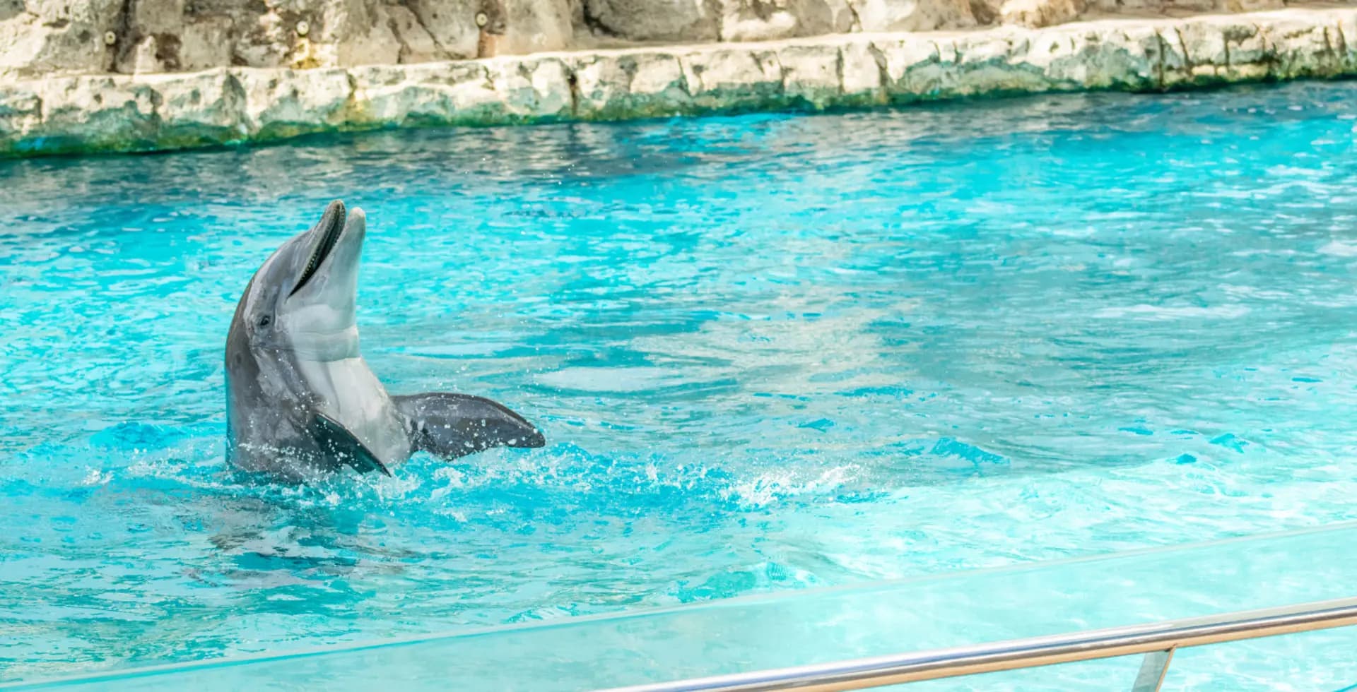 Starlight Estates Detached Corpus Christi Texas Usa preconstruction Starlight Estates Detached Corpus Christi Texas Usa preconstruction